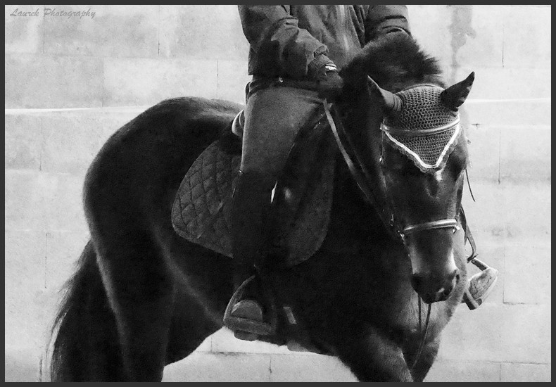 Probleme de reglage photo de sport equitation: nouvel photo Essai_17