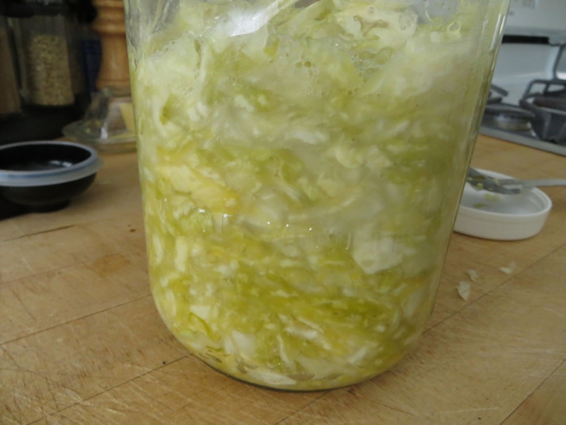 Sauerkraut & fermenting veggies - Page 2 Img_2310