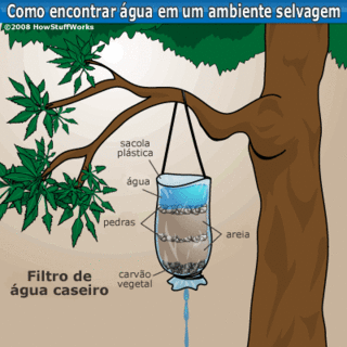 Água combustível de todos os ser vivo   Get-wa13