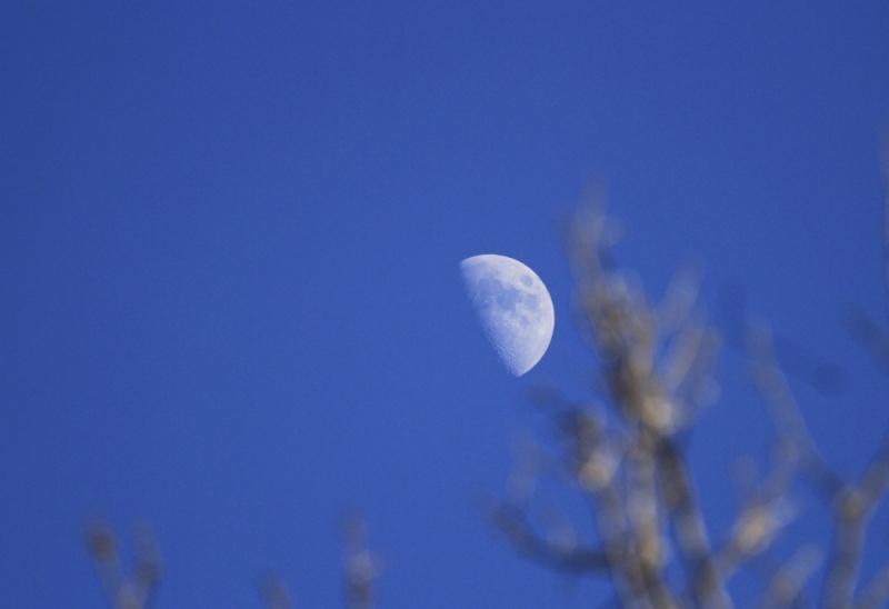 Transparent/Translucent Moon Aftern11