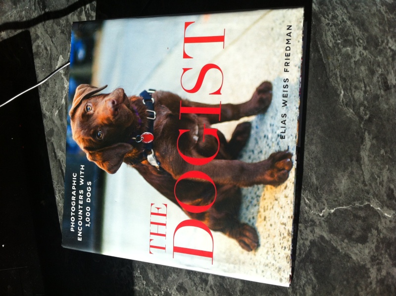 Livre The dogist Img_6113