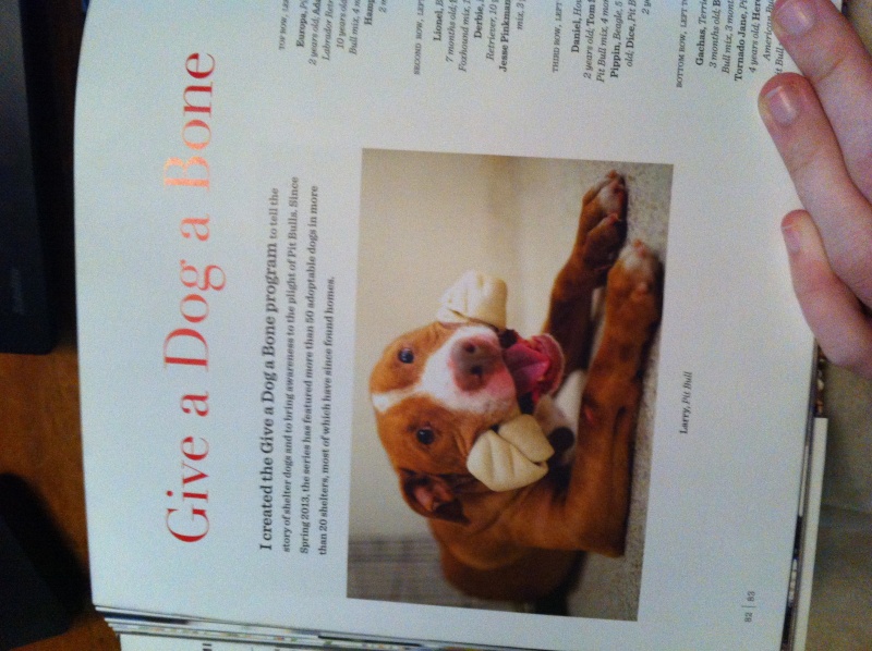 Livre The dogist Img_6125