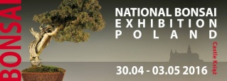 The National Bonsai Exhibition in Poland 2015 113