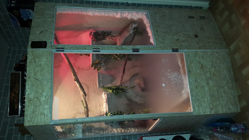 fabrication terrarium aquatique pour dragon d'eau 20160114