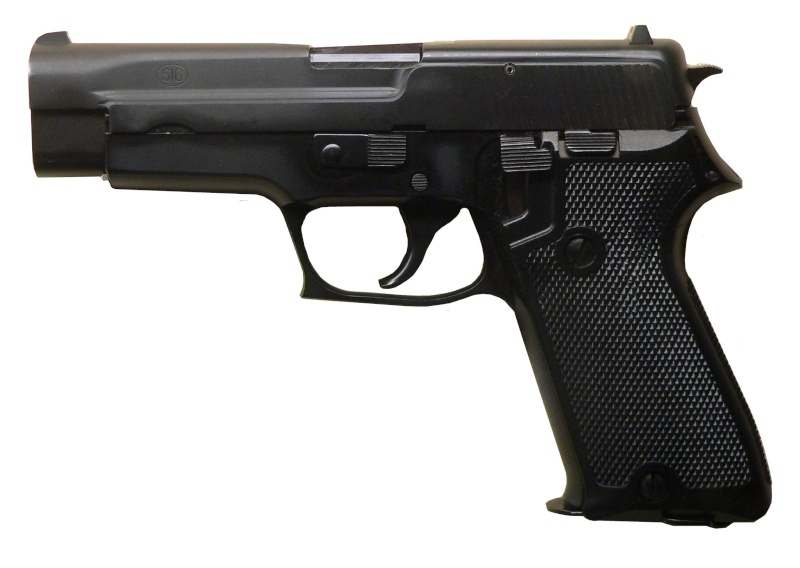 Armes de BSG Sig22010