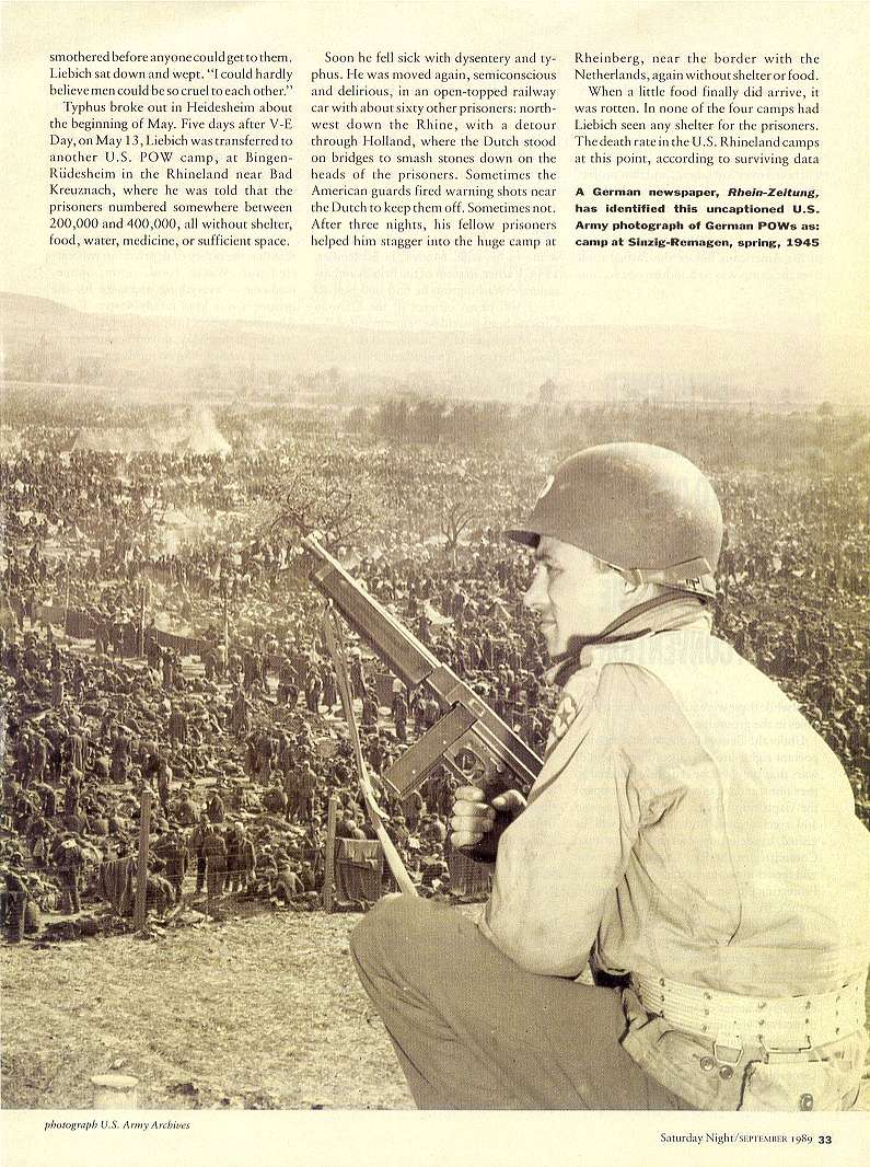 Hellstorm: Exposing The Real Genocide Of Hitler's Germany Page3311