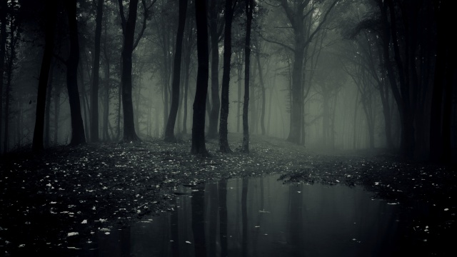 A floresta amaldiçoada* Dark-f10