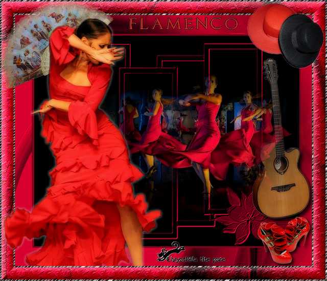 Presentacion del Flamenco 117