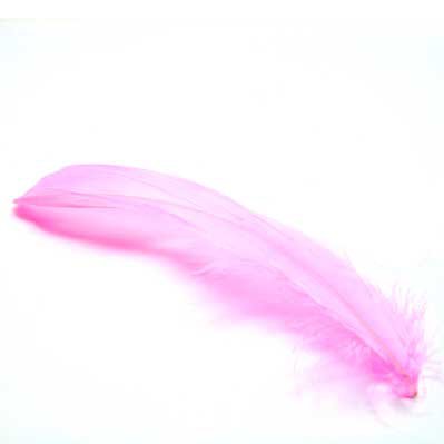 Plumes de Moa Rose17