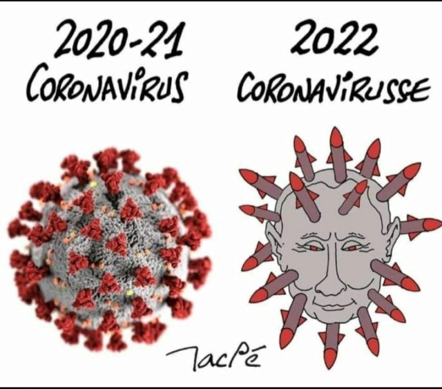 Coronavirus :  humour   ...  obscur  ou pas   - Page 37 Corona35