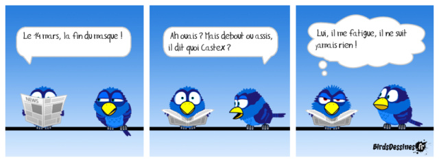 Les oiseaux // les birds   BD   satyrique  Mister12