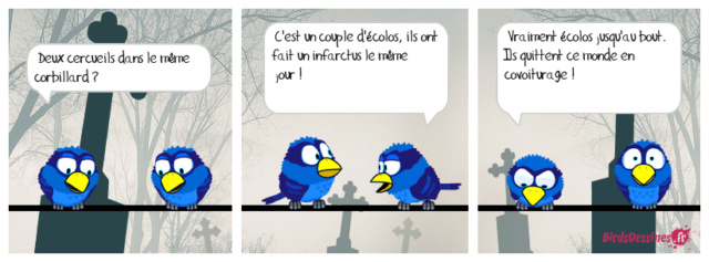Les oiseaux // les birds   BD   satyrique  - Page 3 Mister13