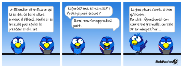 Les oiseaux // les birds   BD   satyrique  - Page 2 Vezonb12