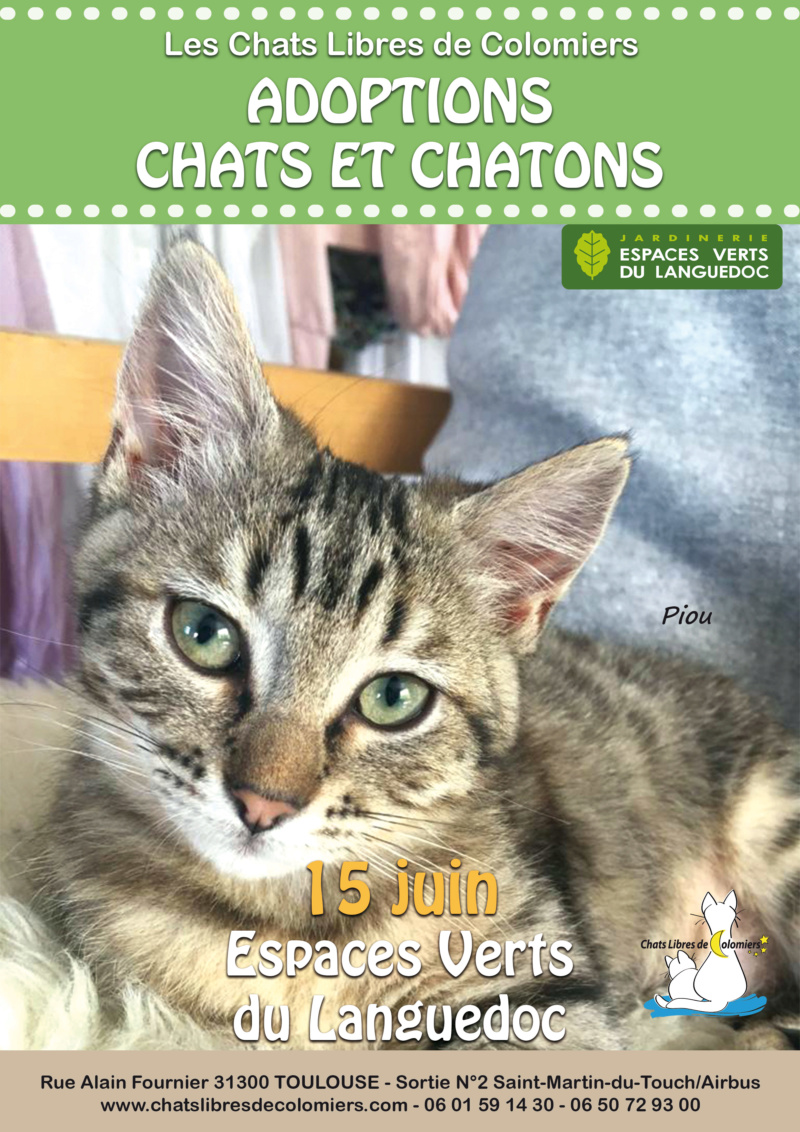 Journée adoptions le 15 juin aux Espaces Verts du Languedoc 2019-030