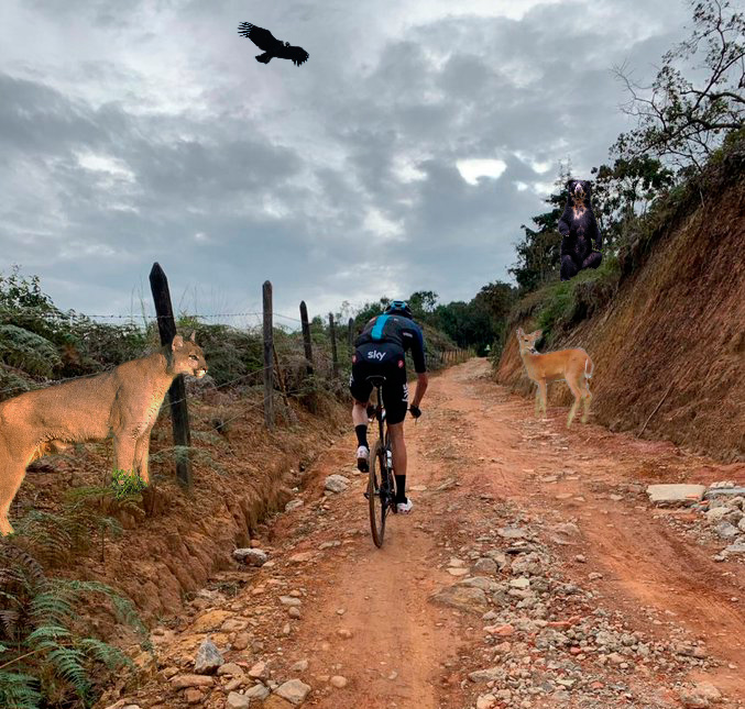 "Pedaleo" y otras imágenes... - Página 10 Froome10