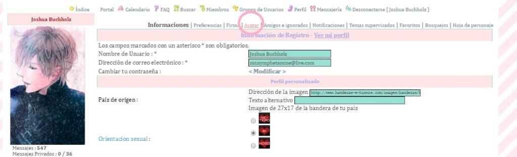¿Como coloco una imagen de avatar? 310