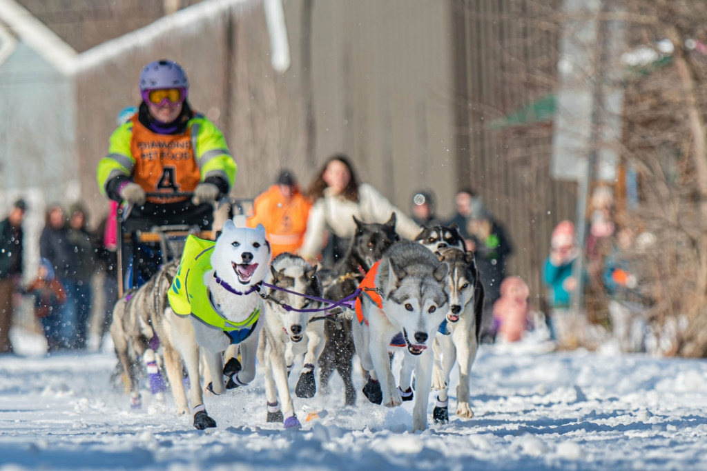 Team Yukikaze - Sports and Mushing - Page 3 16764210