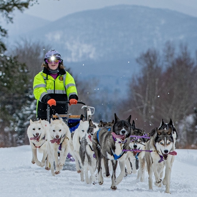 What Sports Does Your Husky Do? 17145011