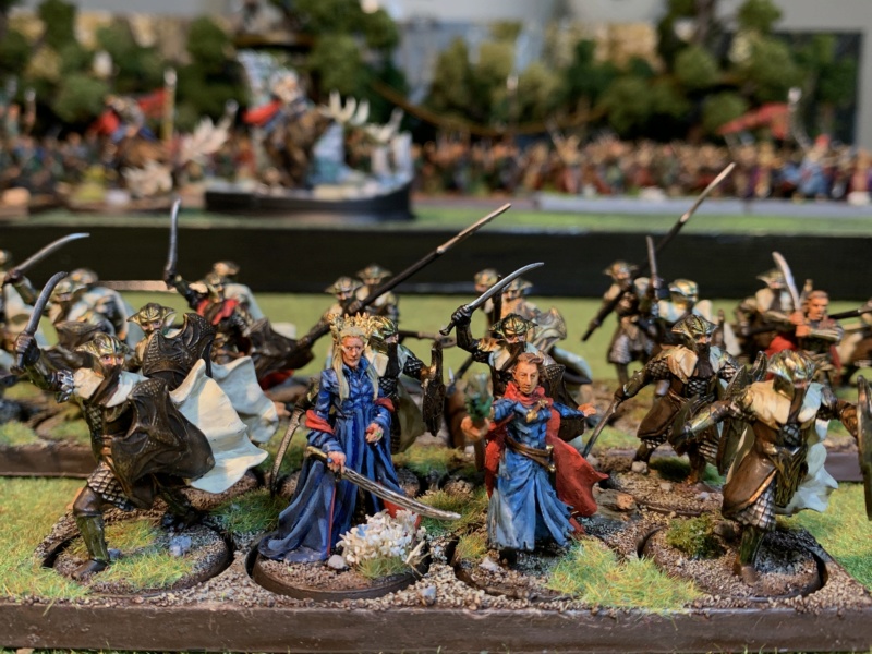 Aragorn et les 5 Armées - Les Nains - Update - Page 4 Img_5738