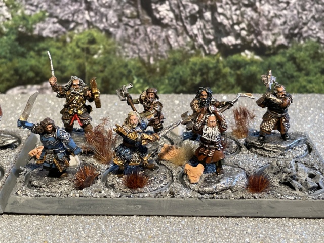 Aragorn et les 5 Armées - Les Nains - Update - Page 4 Img_9554