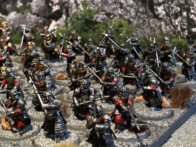 Aragorn et les 5 Armées - Les Nains - Update - Page 4 Img_9556