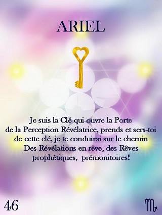 ANGE ARIEL 46 4610