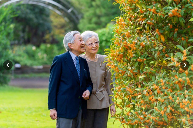 CASA IMPERIAL DE JAPÓN - Página 66 894