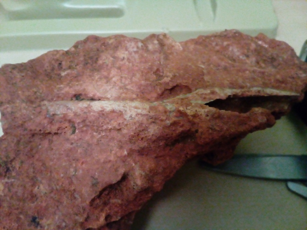 Como identificar un fragmento de hueso fosil. Img_2011
