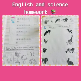 English and science homework  5db53710