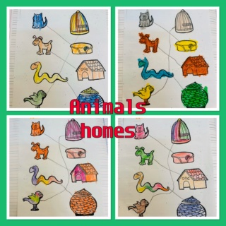 Some animals homes  7780de10