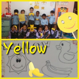 Teaching yellow colour Colla141