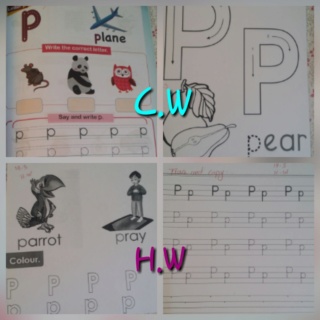Letter  Pp  Colla310