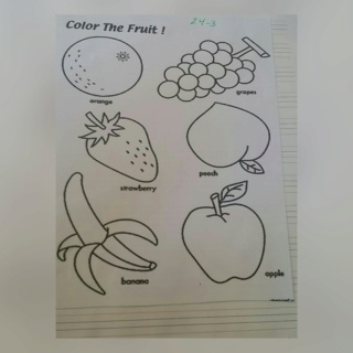 Fruits     Colla319