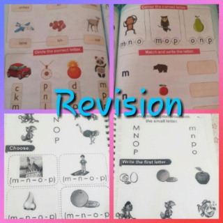 Revision   Colla330