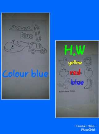 Teaching blue colour Photog13
