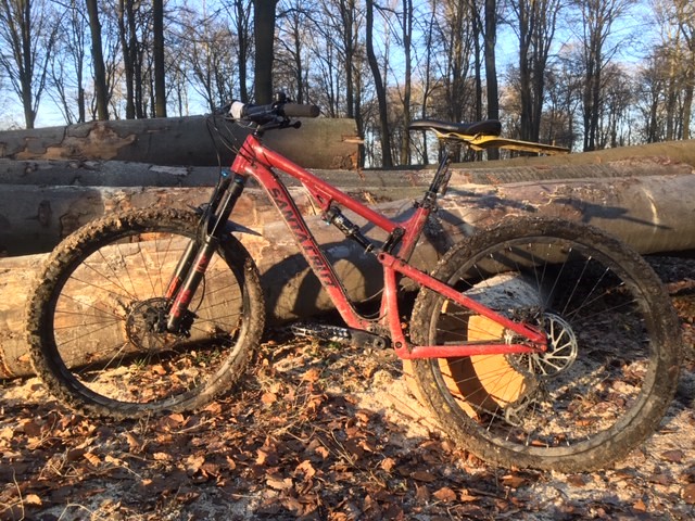 Mon jouet rouge... Vtt_sa10