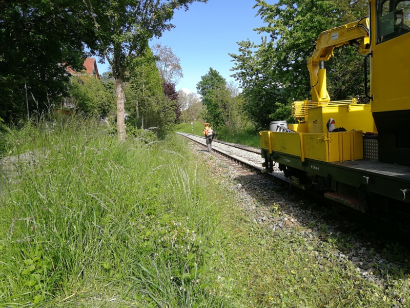 Schwäbische Waldbahn Img_2091