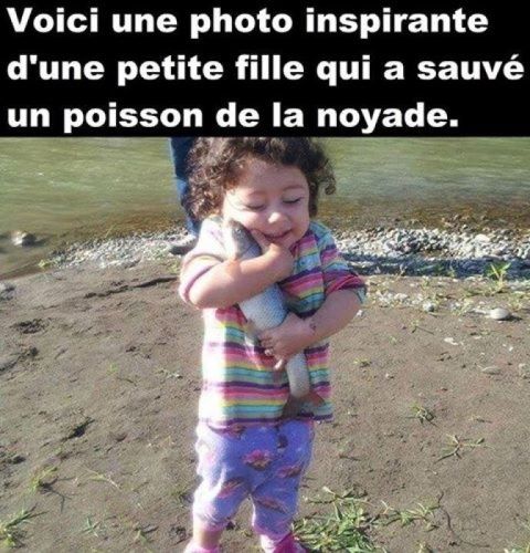 Images Drole - Page 3 26b18210