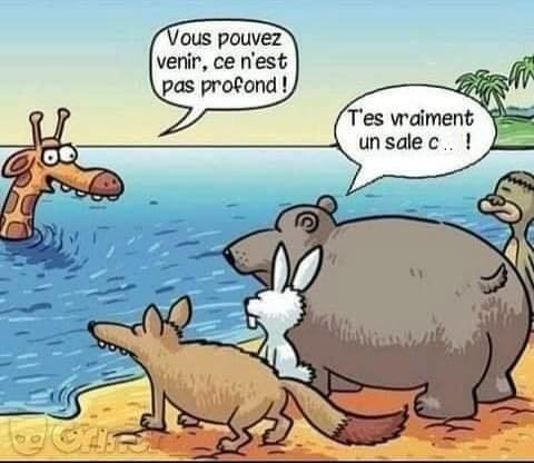 Images Drole - Page 23 Humour11