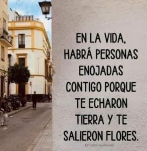 Y te salieron flores  Scre1383