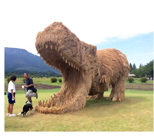 En Japón, los arrozales y el trigo se transforman cada año en obras de arte Scree452