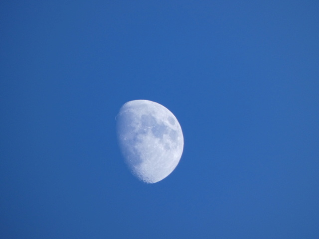 Lune Juillet 2021 P1010610