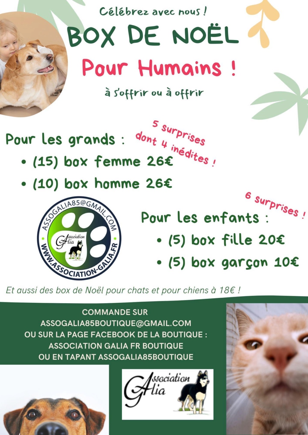 Commandes box de Noël pour animaux et pour humains  E7bc3810