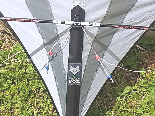 [ Vendu sur Le Bon Coin ]  Vends Silverfox 2.5 UL de chez Flying Wings 2_r00110