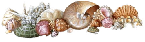 Poissons, coquillages et crustacés de Septembre 720d0711