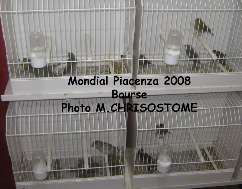Mondial Piacenza 2009 Mondia10