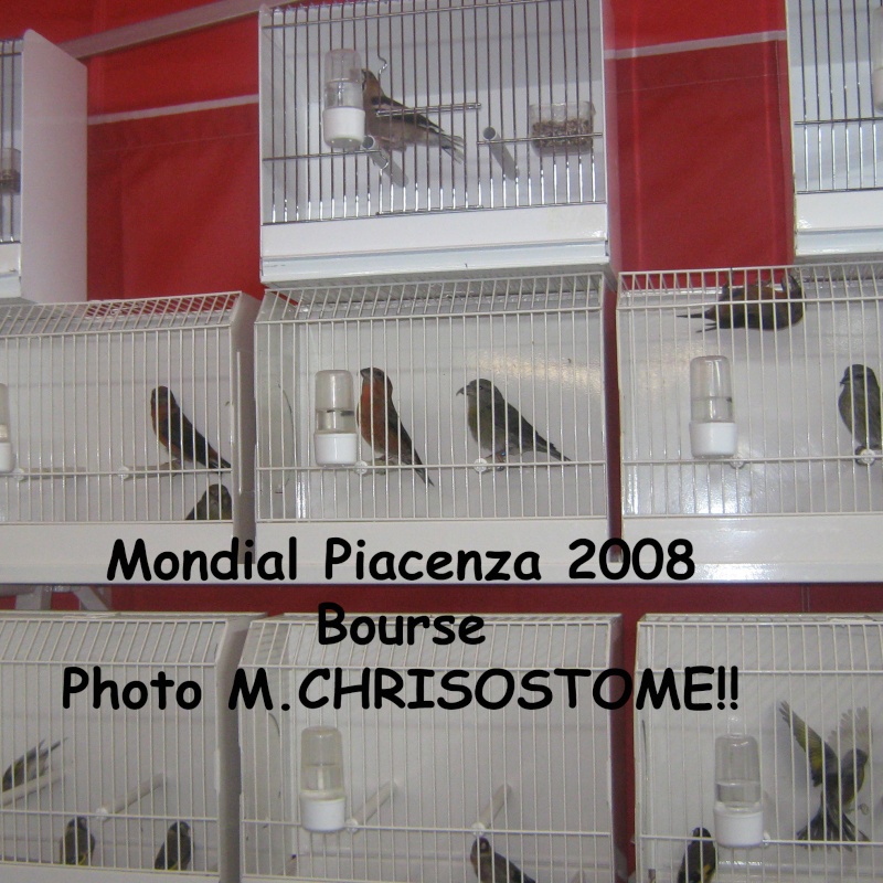 Mondial Piacenza 2009 Mondia13