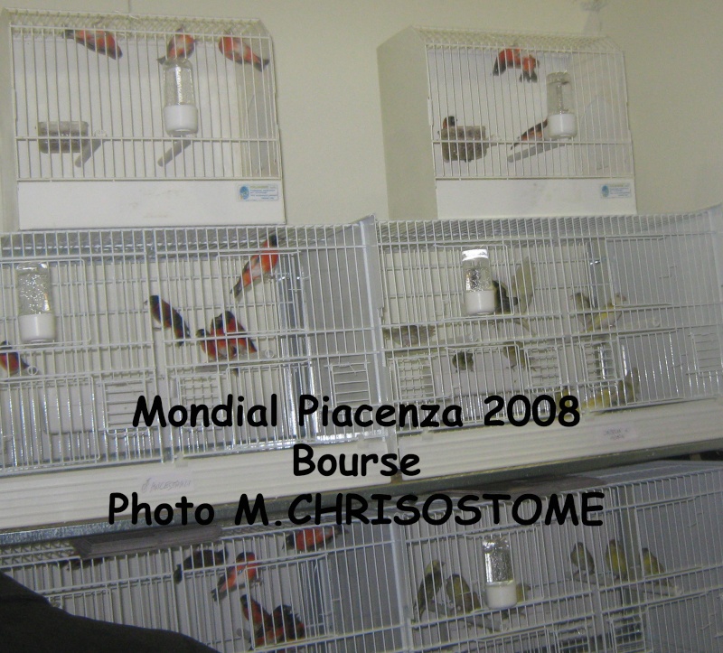 Mondial Piacenza 2009 Mondia16
