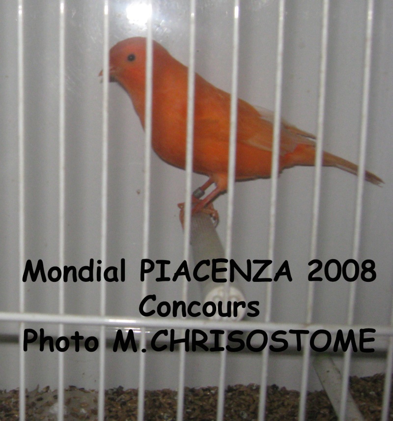 Mondial Piacenza 2009 Mondia23
