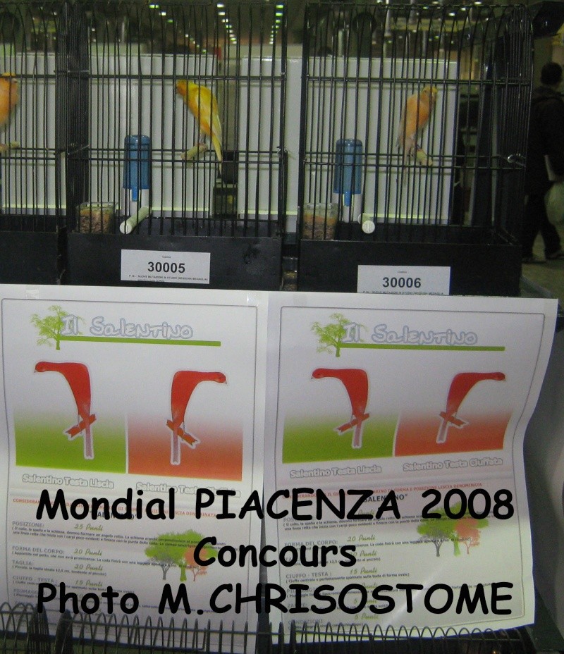 Mondial Piacenza 2009 Mondia24